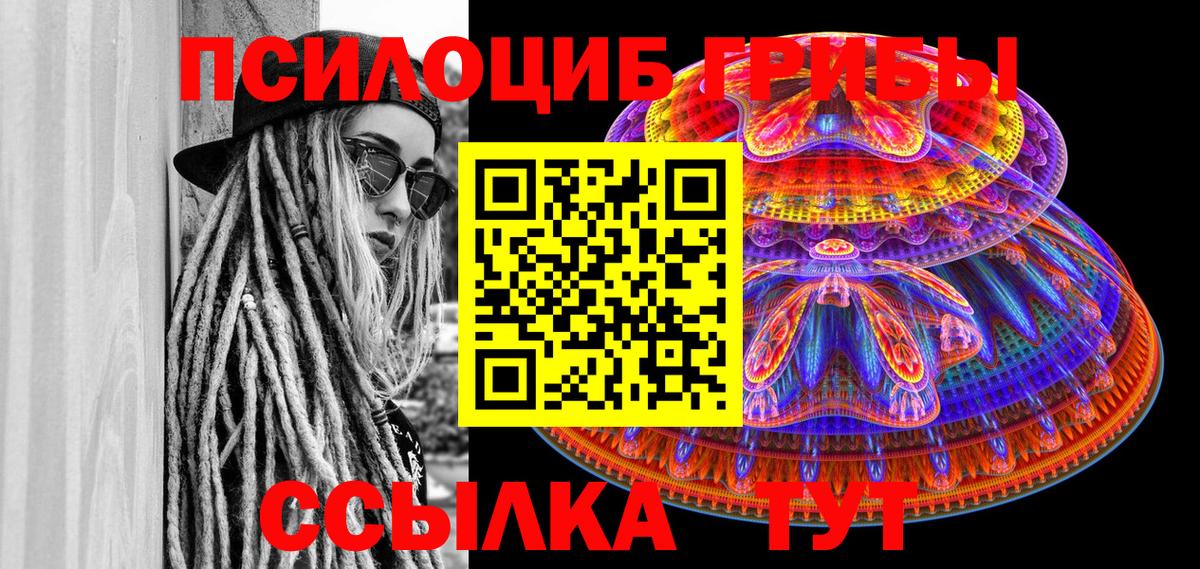 Соль-Илецк  Псилоцибиновые грибы Psilocybine cubensis  Вход с VPN 